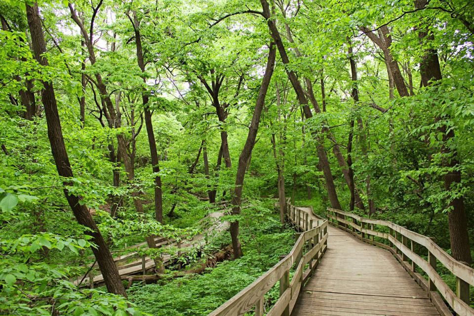Boardwalk
